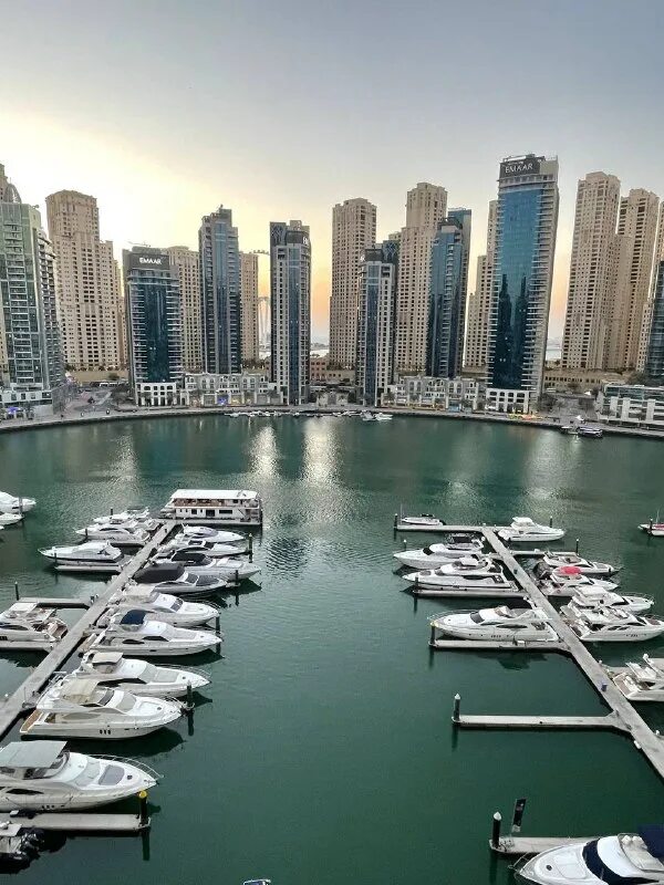 Таурус ротана дубай. Город дубай объединённых арабских эмиратах. Эмираты. Эмираты из самары. Пальма джумейра бассейн.