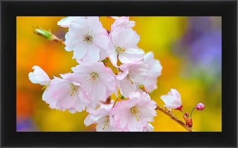 Spring is beautiful