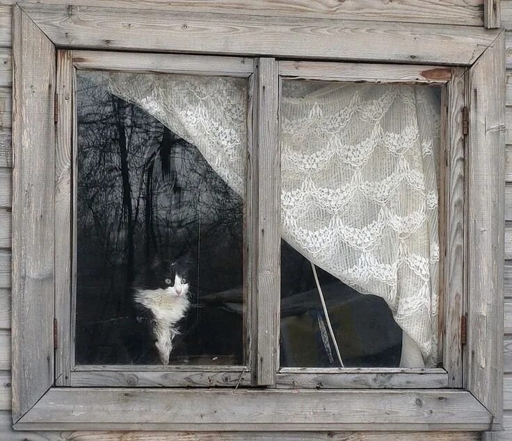 Старое окно с занавесками. Окно с занавесками старые. Вид из окна в деревне. Деревенские занавески на окна.