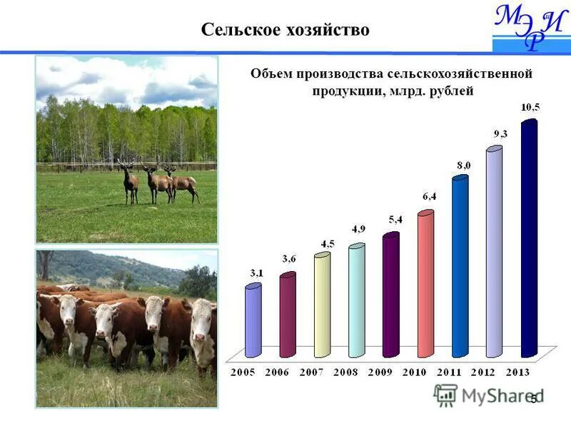 объем продукции (млн руб) статистика. объем производства сельскохозяйственной. структура сельского хозяйства волгоградской области. объем производства сельскохозяйственной продукции в мире. график объем производства продукции сельского хозяйства.