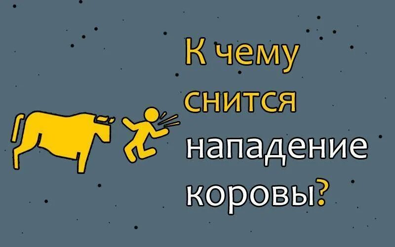 Видеть нападение. К чему снится корова. К чему снится корова во сне. К чему снится корова женщине во сне. К чему снится корова которая нападает.