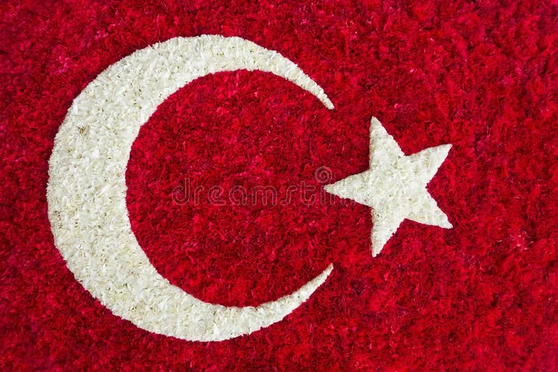 Турецкие флаги цветы. Белый флаг Турции. Турецкий флаг из цветов. Флаг Османской Федерации. Сколько звезд на флаге турции
