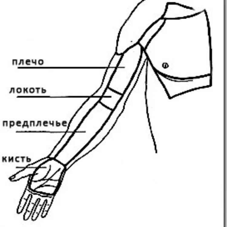 Выше плеча как называется