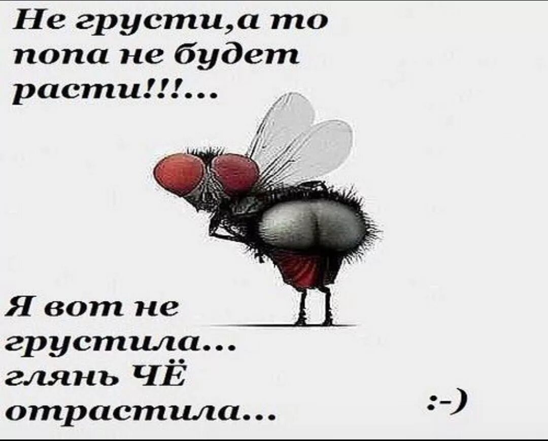 Ну что ты грустишь