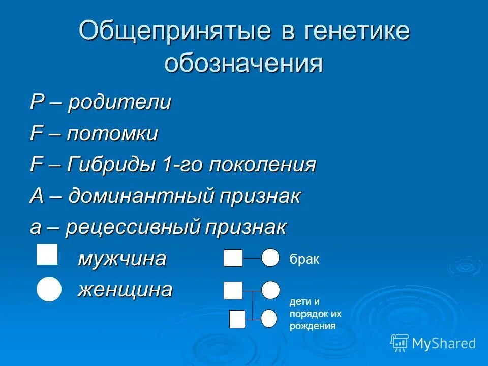 Условные обозначения генетики. Общепринятые в генетике обозначения. Обозначения генетики в биологии. Генетика обозначения в задачах.