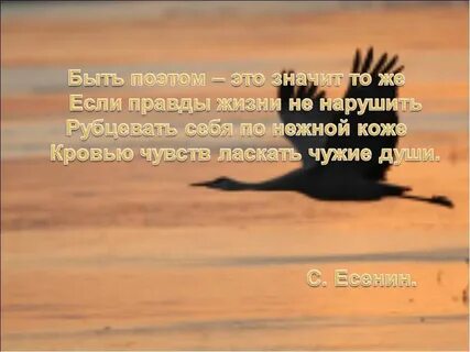 Быть поэтом значит петь раздолье