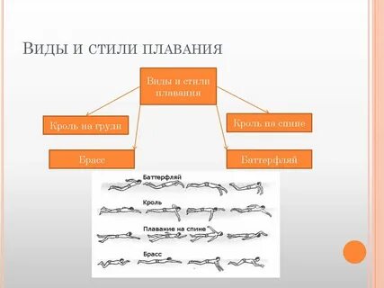 Какой из видов плавания не входит