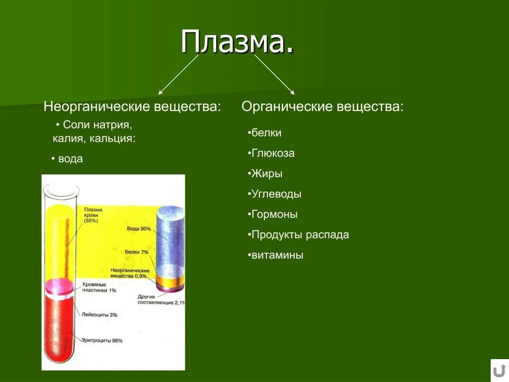 Кроме воды к неорганическим веществам относятся. Неорганические соединения плазмы. Вещества плазмы крови. Органические и неорганические вещества плазмы. Неорганические вещества плазмы крови.