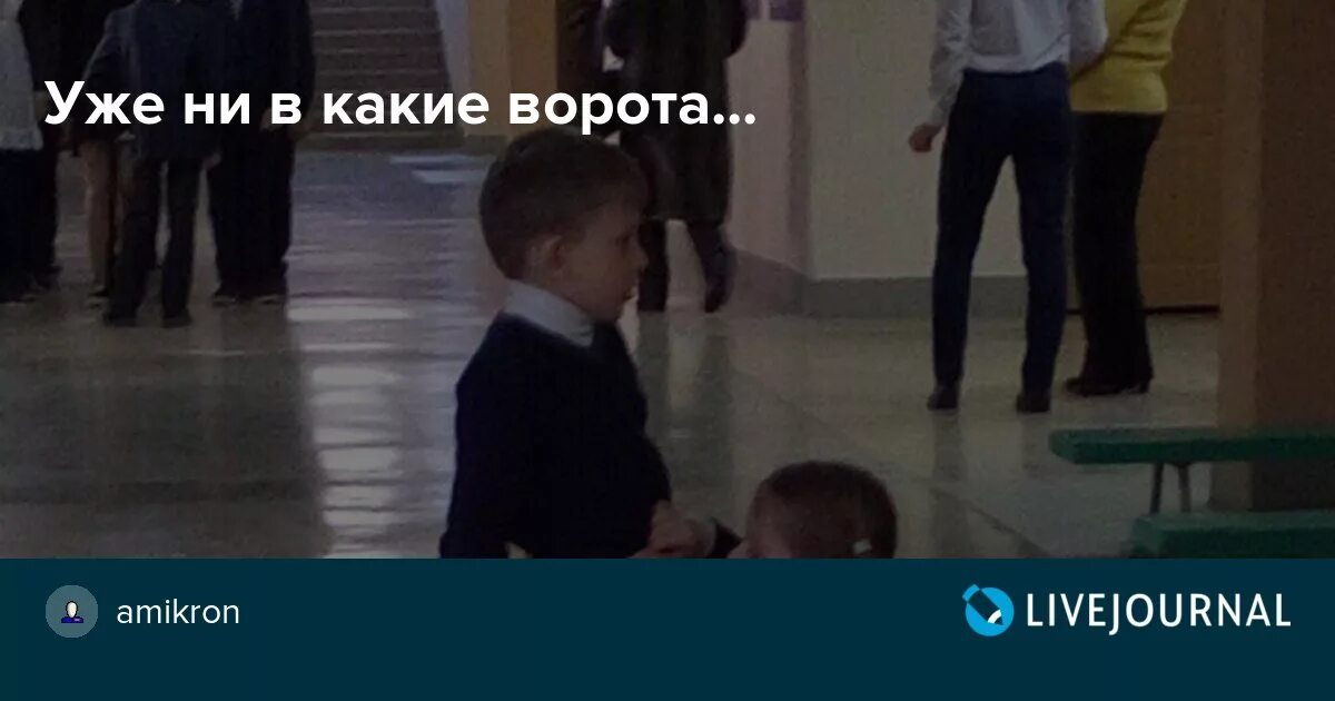 Это ни в какие ворота. Ни в какие ворота прикол. ни в какие ворота.