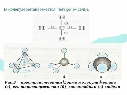 Метан сколько атомов углерода