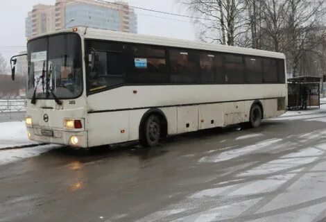 Санкт петербург кировск автобус