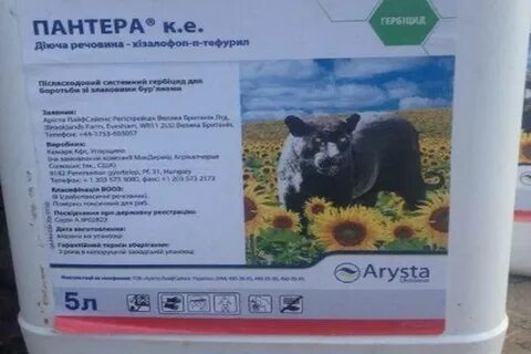 Свекла кормовая гербициды