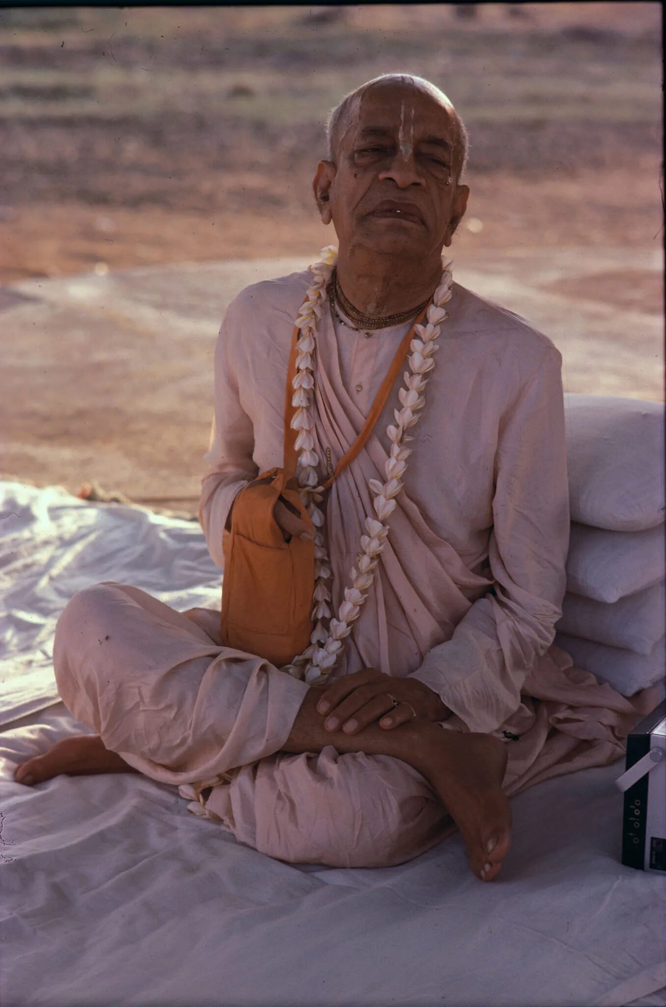 Рудракша элеокарпус. Джапа камалаканта. Джапа четки. Джапа медитация. Индийские четки туласи.