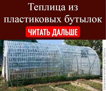 Теплице рецепт