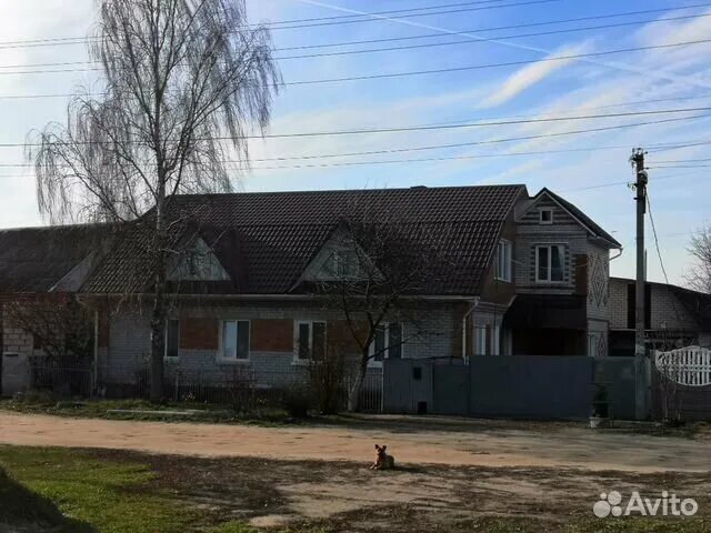 Посёлок Супонево Брянской. Брянск,деревня Супонево. Супонево Брянск. Супоневское сельское поселение. Купить дом супонево брянск