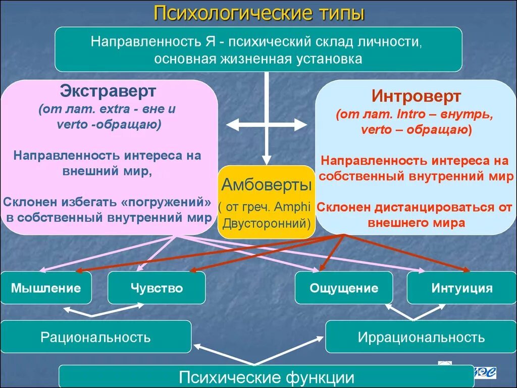 Психологические направления психологической личности. Психотипы личности. Психологические типы личности. Психотип Тип личности. Психологические личностные типы.