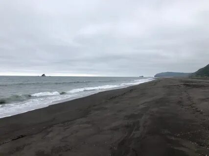 Халактырский пляж камчатский край петропавловск камчатский отзывы