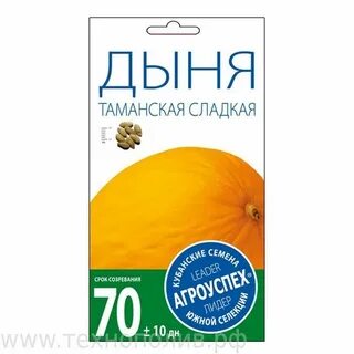 Дыня таманская