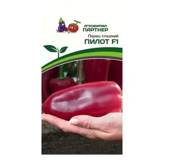Перец сорт пилот отзывы