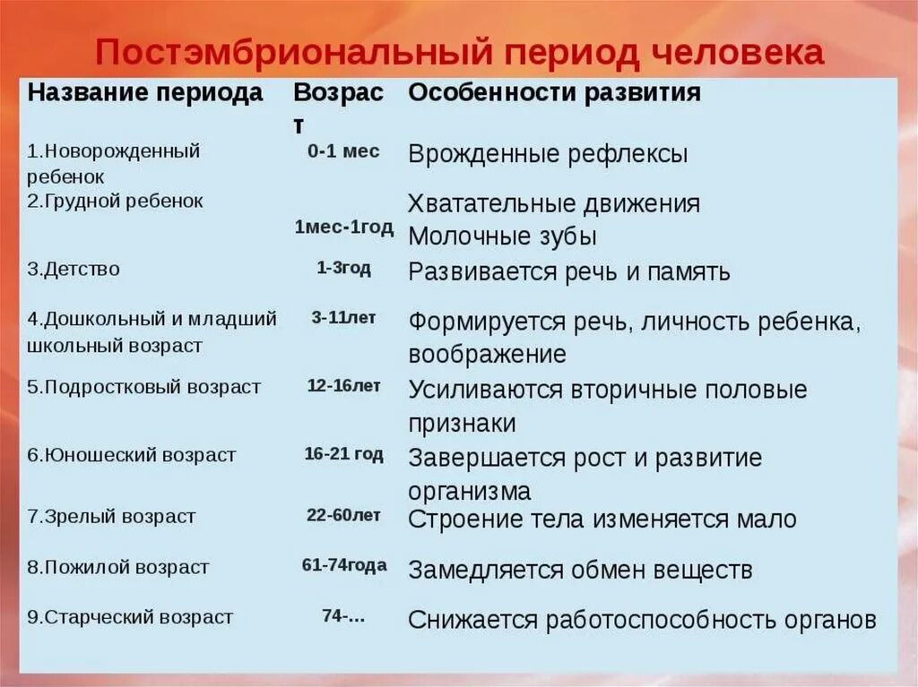 Развитие человека возрастные процессы 8 класс. Периоды постэмбрионального развития человека. Постэмбриональное развитие периодизация таблица. Таблица периоды постэмбрионального развития человека таблица. Этапы постэмбрионального развития человека характеристика.