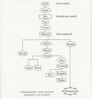 От адама до мухаммада