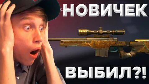 Новичек
