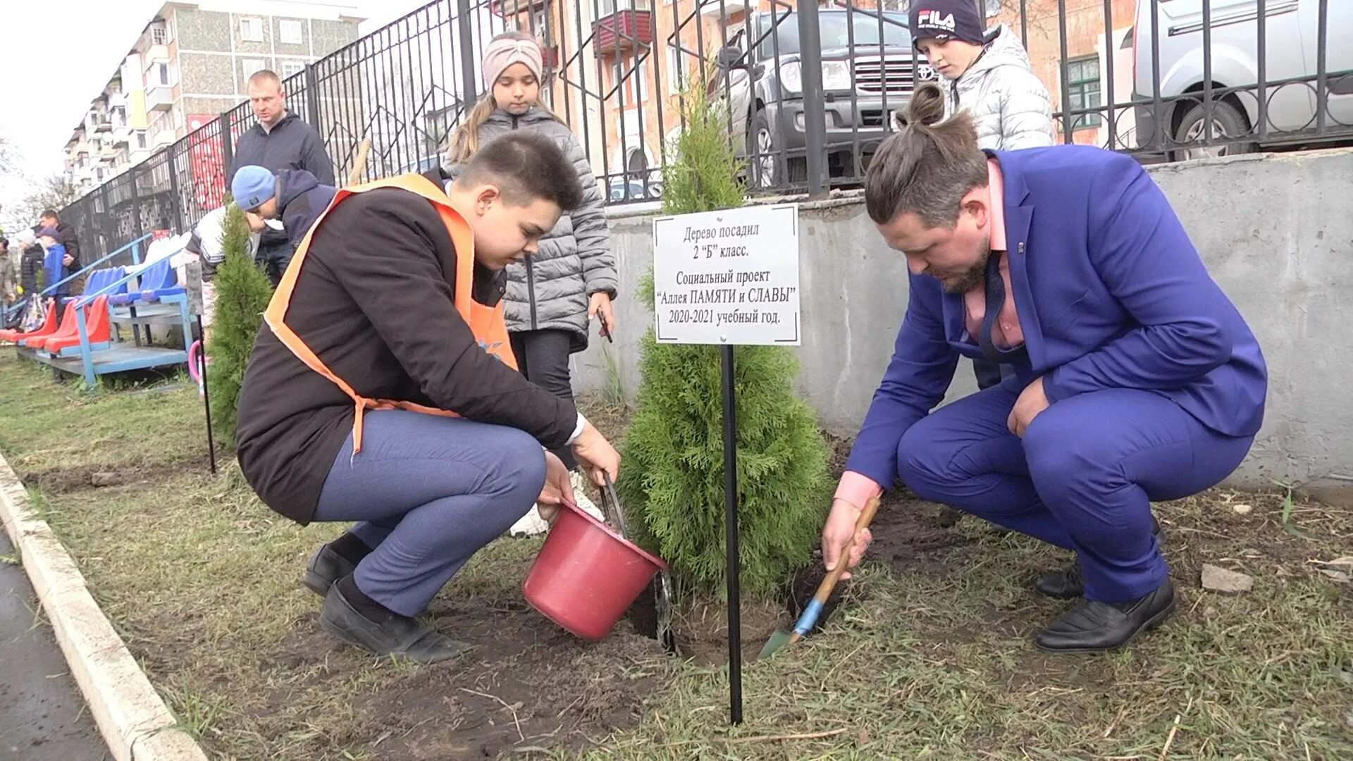 Посадка аллеи деревьев. Таблички в парках у деревьев. Посадка аллеи чиновниками. Посадка деревьев аллея выпускников. Липа мелколистная аллея.