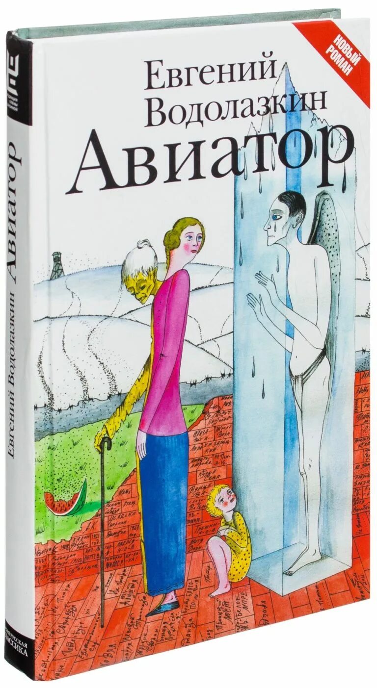 Авиатор читать полную версию. Евгения водолазкин авиатор обложка. авиатор книга водолазкин. водолазкин евгений германович авиатор. авиатор евгений водолазкин книга книги евгения водолазкина.