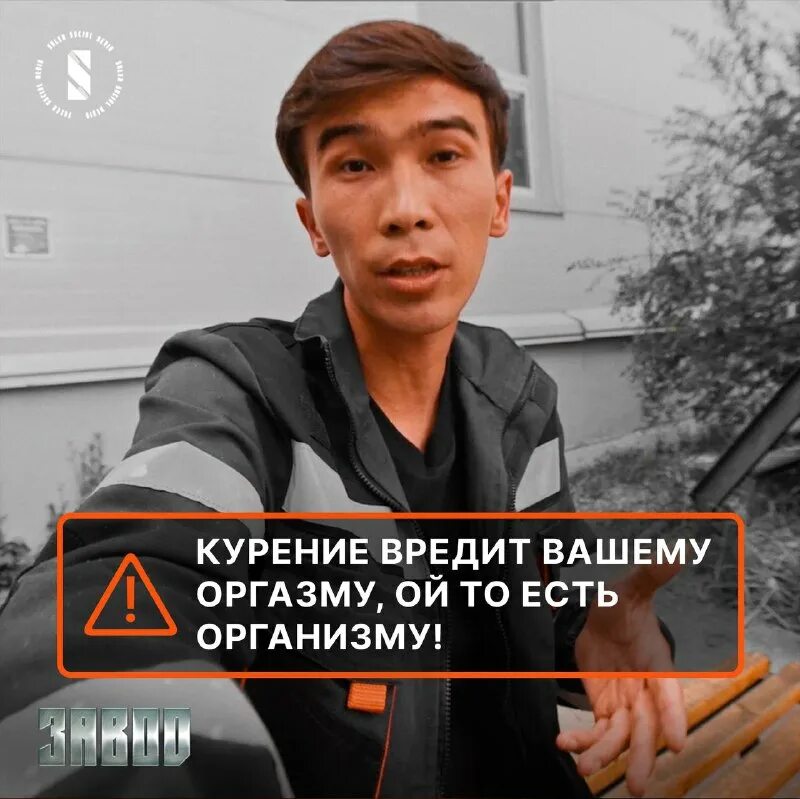 Бек нарзи жена. Ронен исраилов. Блоггер бек. Бек нарзи. Блоггер бек.