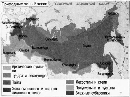 Coloring Pages Map of natural areas of Russia 4th grade the world around (29 pcs