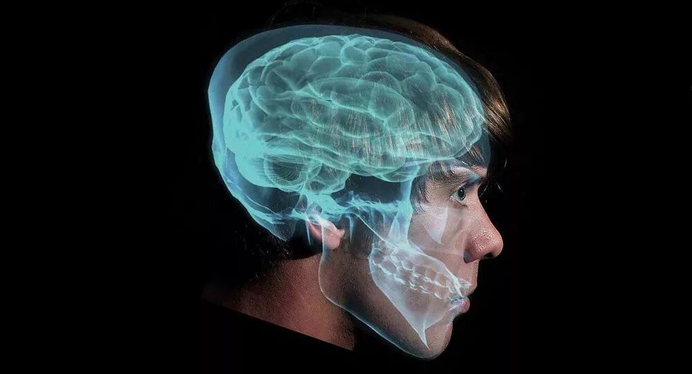 Ученые доказали мозга. Удивительный мозг. Ученые доказали мозга. Инфекционные заболевания мозга. Ученые доказали мозга.