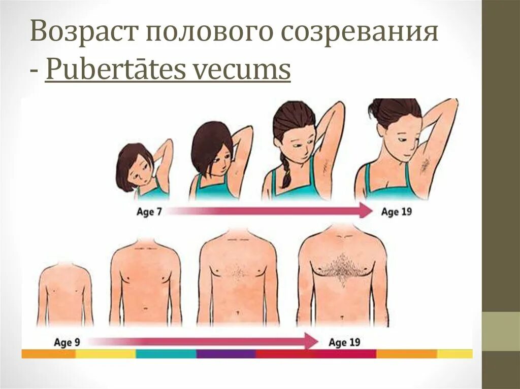 Половое созревание. Половое развитие. Половое созревание у девочек. Период полового созревания у девочек. В каком возрасте начинают расти волосы