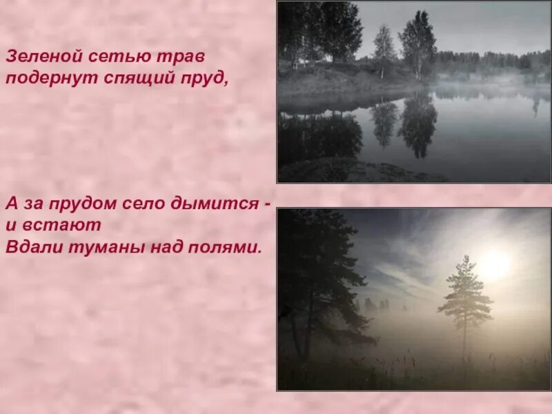 Гдз по русскому 5 класс 729. И вижу я себя ребенком и кругом родные все места. Гдз по русскому языку 5 класс ладыженская 2 часть упр 729. Зеленой сетью трав подернут спящий пруд ответы. Кругом родные все места стихи.