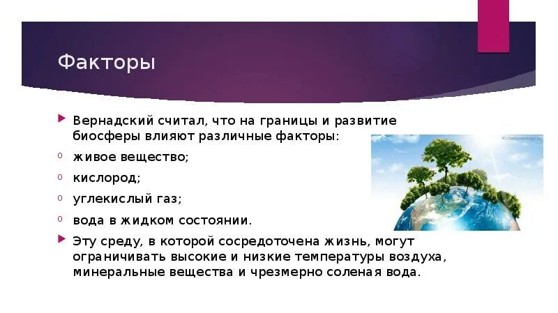 Углекислый газ функции в биосфере. Формирование биосферы. Этапы формирования биосферы. Этапы развития биосферы по Вернадскому. Эволюция биосферы по Вернадскому.