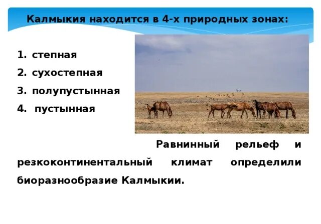 Республика калмыкия находится в природной зоне