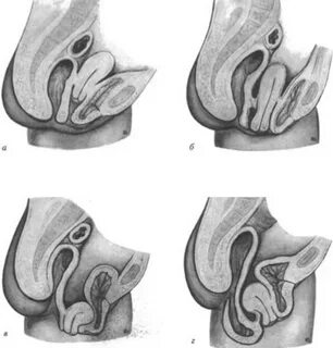 Мейрамханалардағы оргиялар