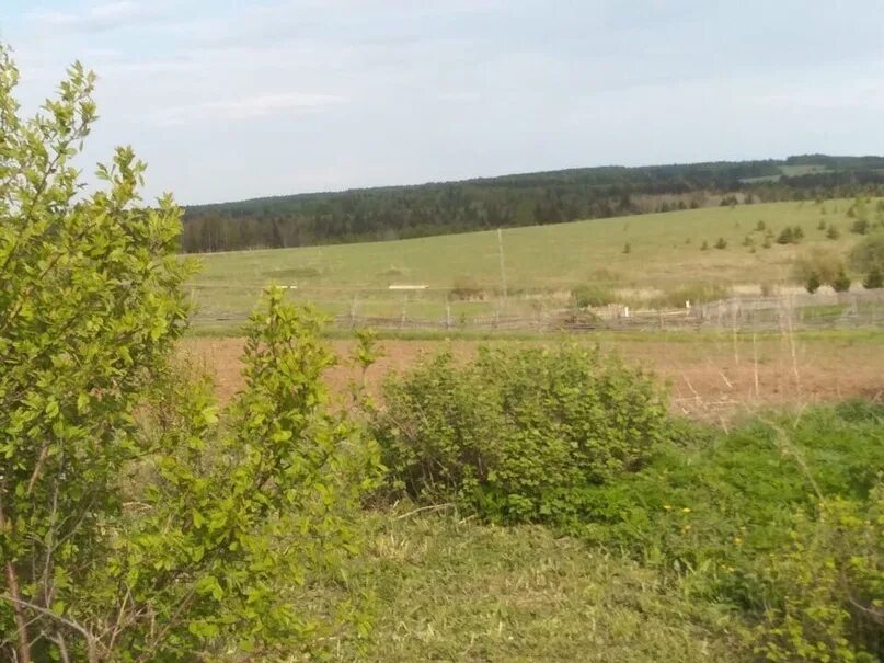 Пышкец. Глазов деревня. пышкец глазовский район. деревня пышкец. пышкец глазов.