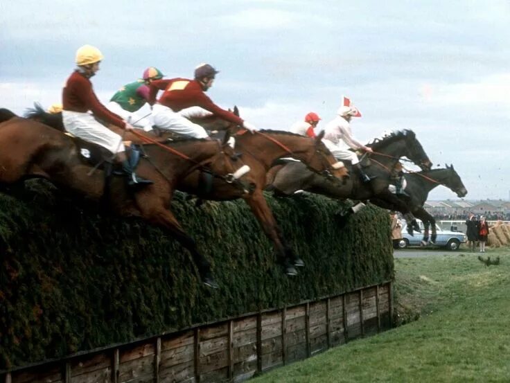 Качалка в переди коня. The grand national is a horse. Скачки стиль. Сурхарбан скачки. The grand national is a horse.