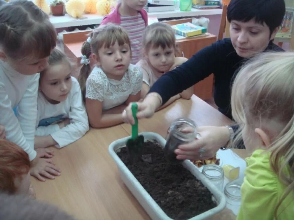 Экспериментирование в старшей группе. Опыты и эксперименты для детей в детском саду картотека. Экологический эксперимент в детском саду. Экологический эксперимент в детском саду. Опыты в доу.