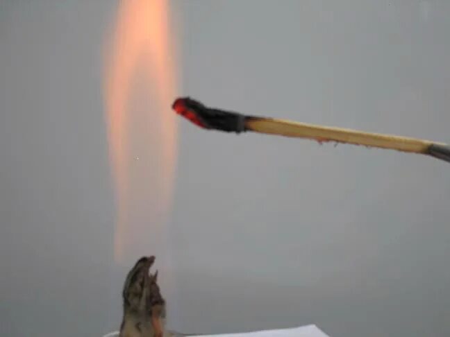 тлеющая лучина. горение лучины. лучина. в колбе с кислородом тлеющая лучинка. тлеющая лучинка в кислороде.