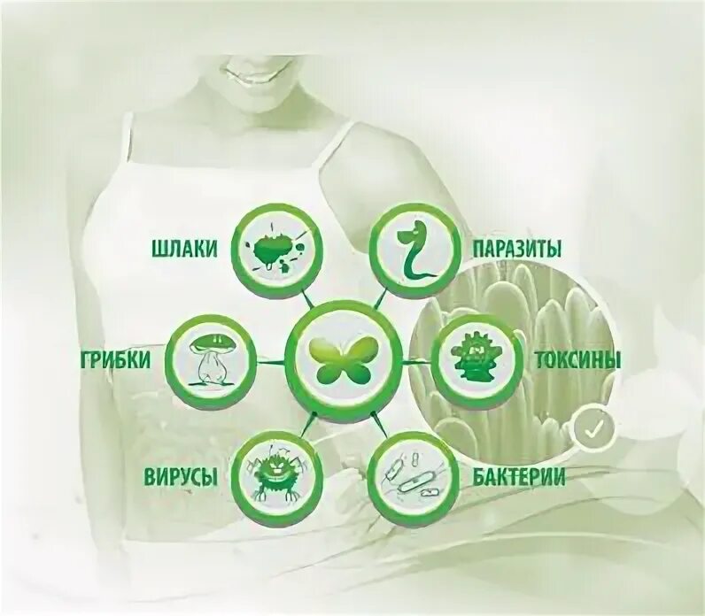 Концепция здоровья коралловый клуб. Шлаки токсины паразиты. Очищение тела. Очищение кишечника от шлаков и токсинов. Очищаем кишечник от токсинов и шлаков.