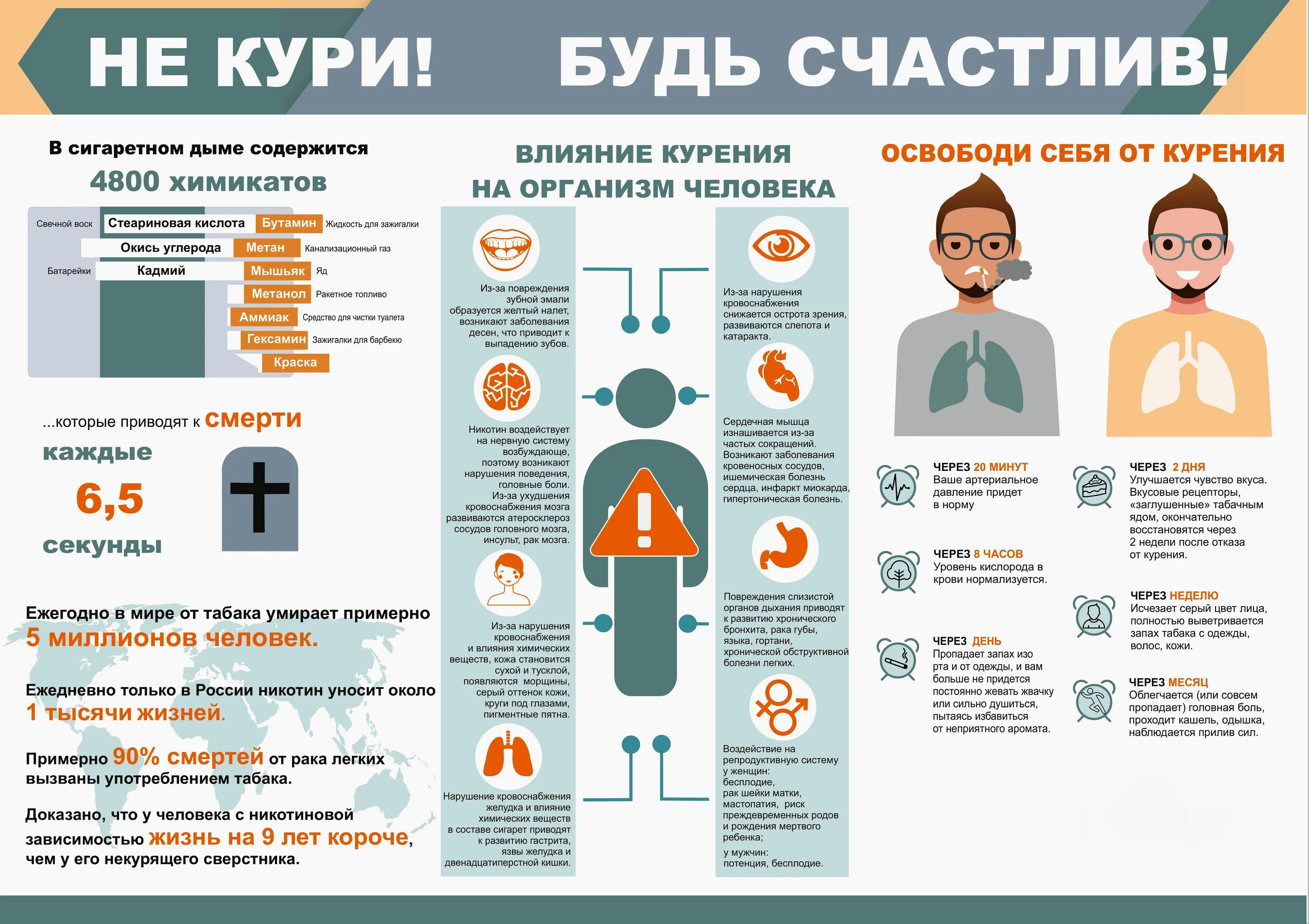 Неделя после отказа от курения. Неделя после отказа от курения. Этапы при бросании курить. Что происходит когда бросаешь курить. Изменения в организме после отказа от курения.