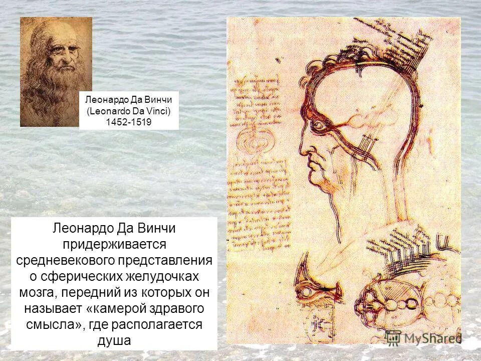 Леонардо где находится. Карта леонардо. Леонардо да винчи геология. Леонардо магазин. Леонардо где находится.