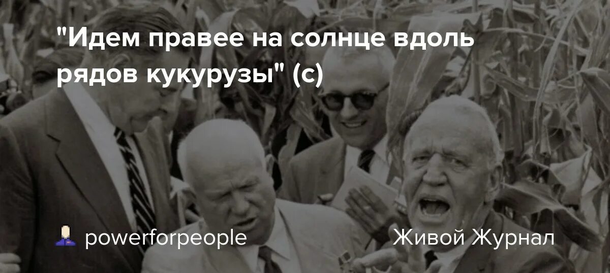 Правее на солнце вдоль. На солнце вдоль рядов кукурузы фильм. Правее на солнце вдоль рядов кукурузы. Вдоль вдоль рядов кукурузы. На солнце вдоль рядов кукурузы 2023.