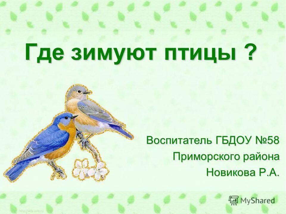 где зимуют птицы отметьте синим зимующих птиц. птицы 1 класс окружающий. тема где зимуют птицы. тема где зимуют птицы. зимующие птицы 1 класс окружающий мир.