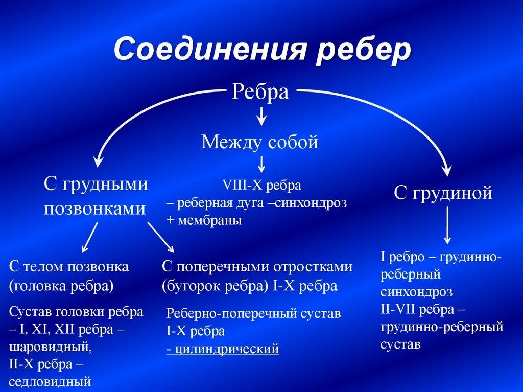 Соединение между ребрами