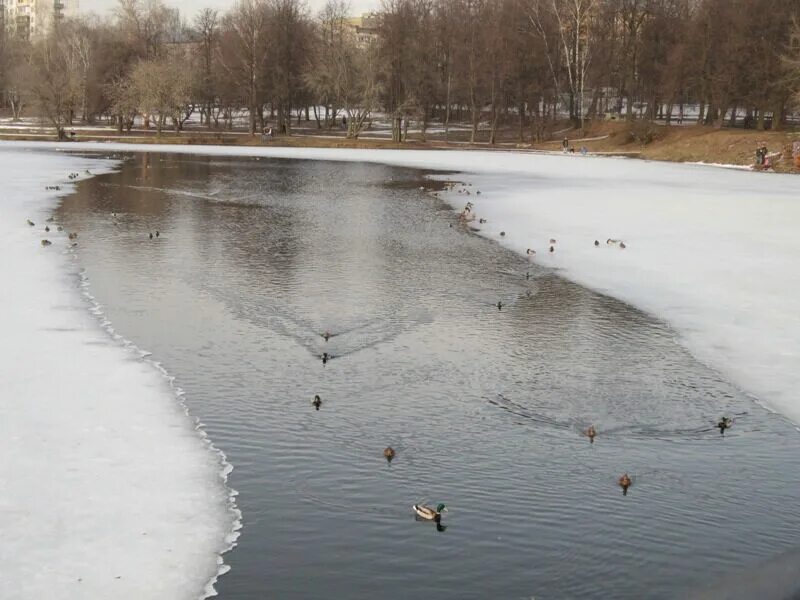 Полыньи на реке что это. Палыня. Прорубь на реке. Полынья форум. Палыня.