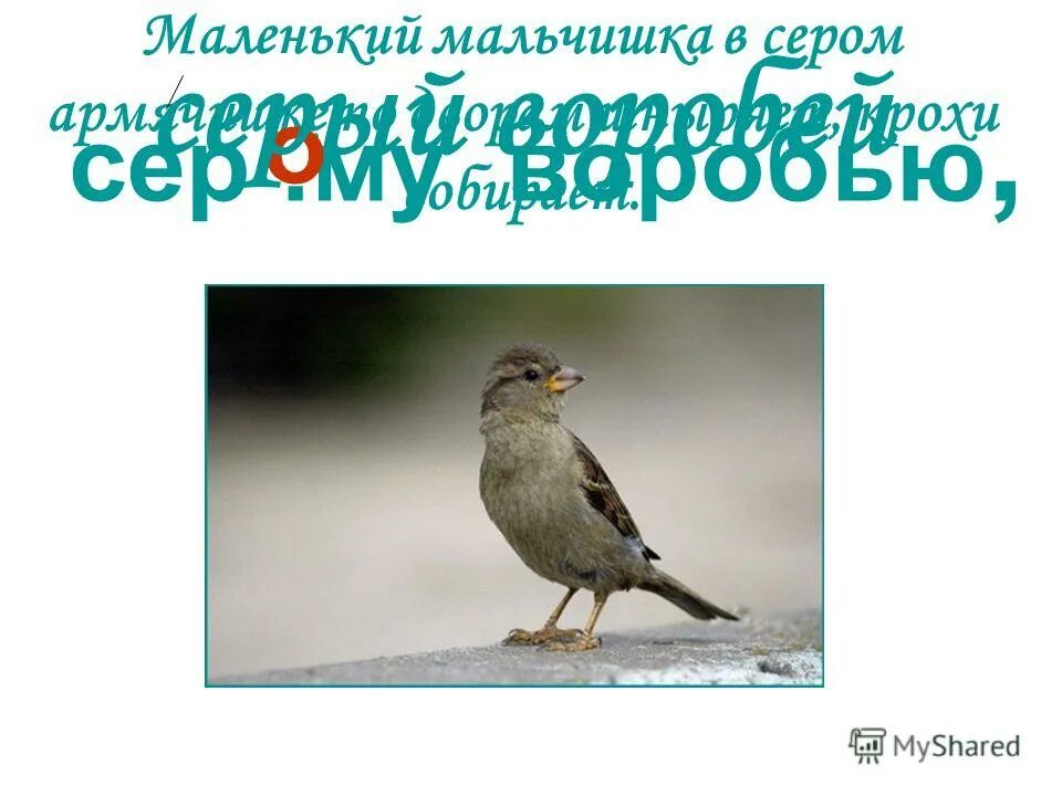 Членики маленьких мальчиков. Членики маленьких мальчиков. Членики маленьких мальчиков. Членики маленьких мальчиков. Членики маленьких мальчиков.