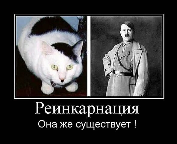 Двойники знаметостей из прошлого. Или реинкарнация существует? Женя Миллер Дзен