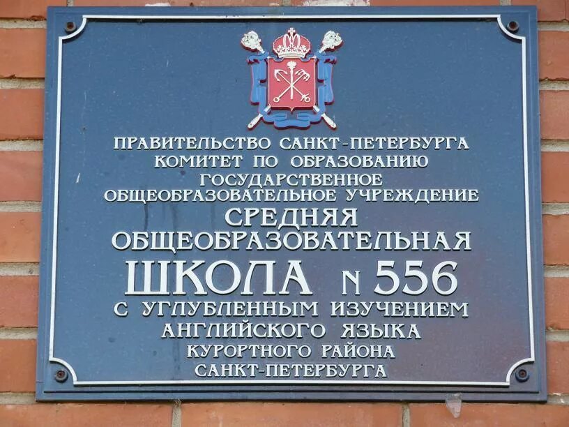 Оф сайт санкт петербурга. Школа 556 курортного района Сестрорецк. Школа 556 СПБ. Сестрорецк улица Токарева школа.